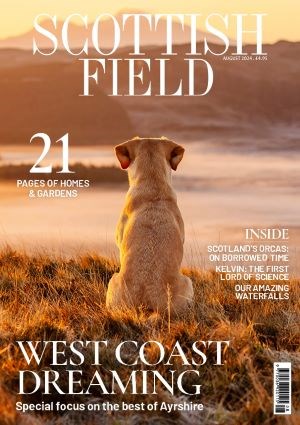 sf8_cover_lowres front Cover